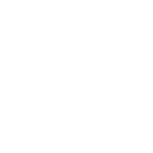 white google logo